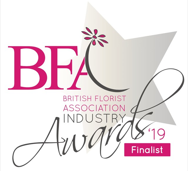 bfa finalist 2019 logo.jpg