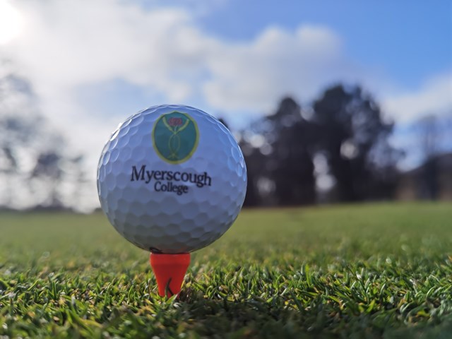 Sportsturf Branded Golf Ball